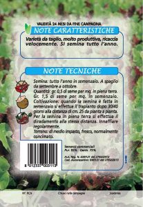 LATTUGA Riccia da taglio miscuglio