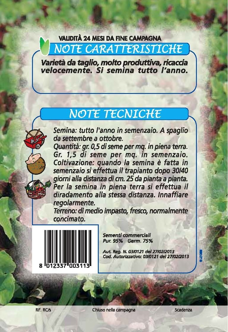 LATTUGA Riccia da taglio miscuglio