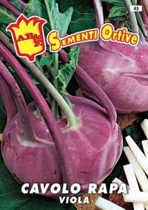 CAVOLO RAPA Rosso