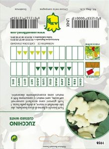 ZUCCHINO Custard White