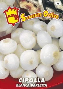 CIPOLLA Barletta per sott'aceto