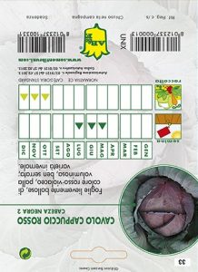 CAVOLO CAPPUCCIO Testa di negro