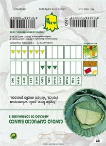 CAVOLO CAPPUCCIO Mercato di Copenhagen 2