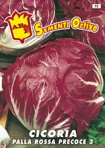 CICORIA / RADICCHIO Palla rossa precoce