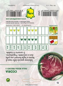 CICORIA / RADICCHIO Palla rossa precoce