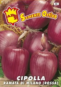 CIPOLLA Ramata rossa (semina primaverile)