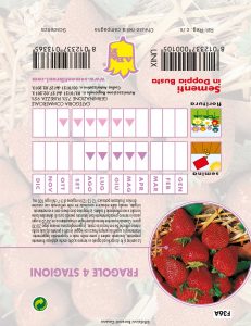 FRAGOLA 4 stagioni