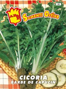 CICORIA / RADICCHIO Barbe de Capucin