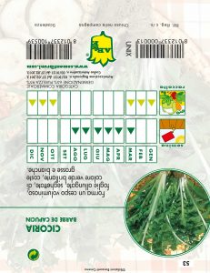 CICORIA / RADICCHIO Barbe de Capucin