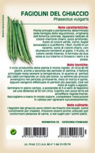 FAGIOLINI DEL GHIACCIO