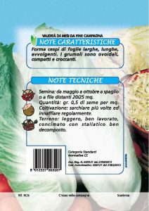 CICORIA Pan di zucchero