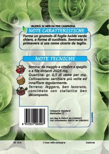 CICORIA Grumolo biondo