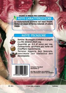 CICORIA Rossa di Verona a palla