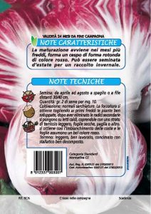 CICORIA Palla rossa precoce