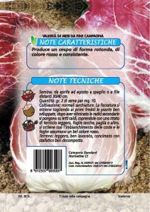 CICORIA Palla rossa medio precoce