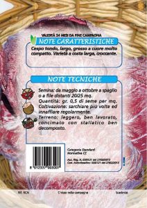 CICORIA Variegata di Chioggia