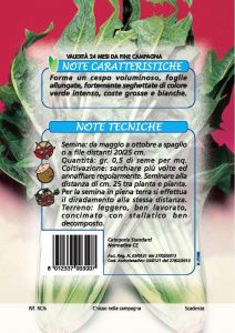 CICORIA Catalogna frastagliata