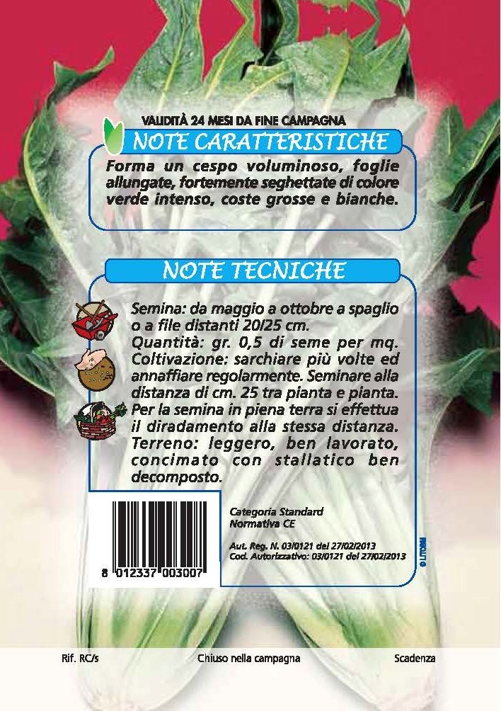 CICORIA Catalogna frastagliata