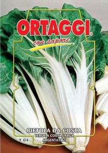 BIETOLA Verde a costa argentata 2