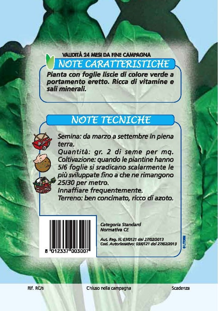 BIETOLA DA COSTE Liscia verde da taglio