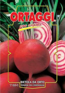 BARBABIETOLA Rotonda di chioggia