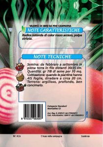 BARBABIETOLA Rotonda di chioggia