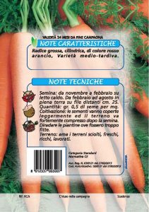 CAROTA Gigante rossa 2 (Flakkee)