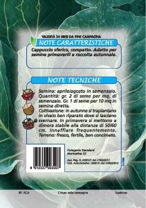 CAVOLO CAPPUCCIO di Enkhuinzen