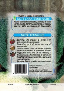 CAVOLO VERZA Invernale Mantovano