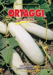 CETRIOLO Mezzo lungo bianco