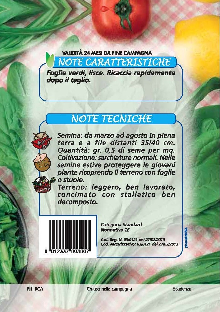 CICORIA Spadona da taglio