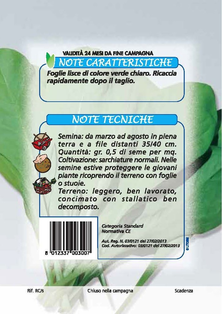 CICORIA Da taglio a foglie larghe