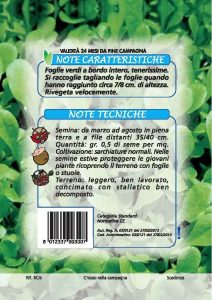 CICORIA Bionda di Gorizia