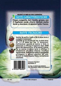 CICORIA Capotta Mantovana