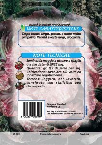 CICORIA Variegata di Castelfranco