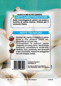 CIPOLLA Bianca di Giugno
