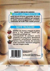 CIPOLLA Borettana per sottaceto