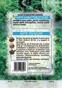 INDIVIA RICCIA Ducale