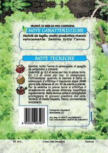 LATTUGA Bionda a foglia riccia