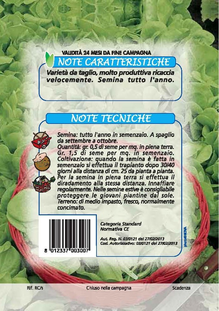 LATTUGHINO Biondo liscio da taglio