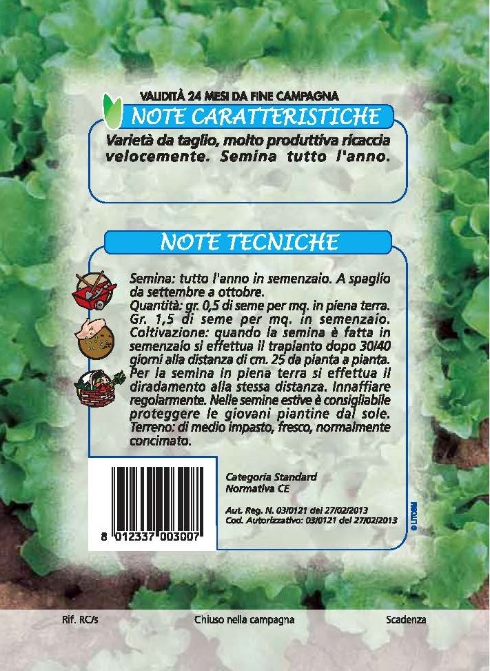 LATTUGHINO Verde riccio da taglio