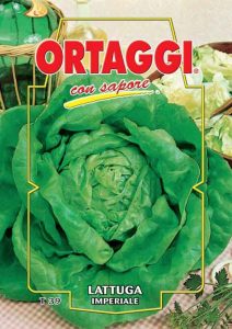 LATTUGA Cappuccio Verde d'inverno (Imperiale)