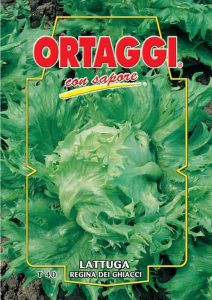 LATTUGA Regina dei Ghiaggi