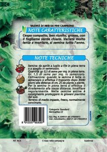 LATTUGA Regina dei Ghiaggi