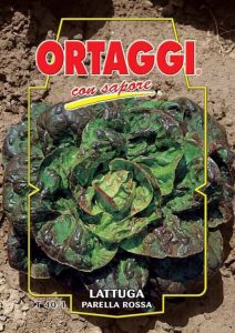 LATTUGA Parella rossa