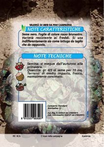 LATTUGA Parella rossa