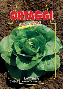 LATTUGA Parella verde