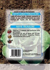 LATTUGA Parella verde