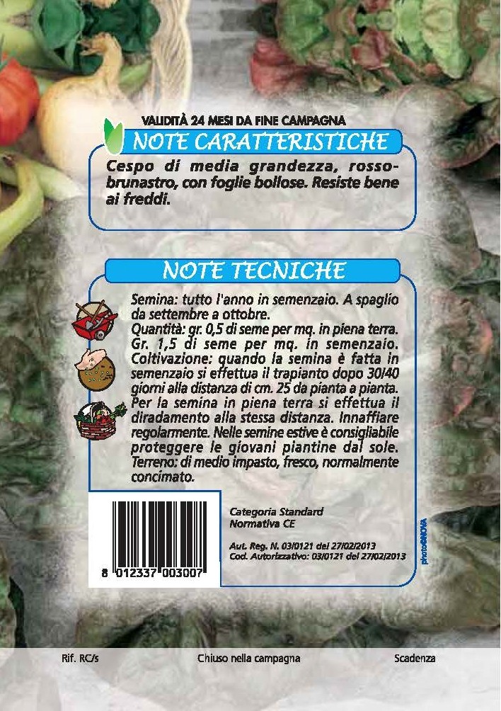 LATTUGA Meraviglia delle 4 Stagioni