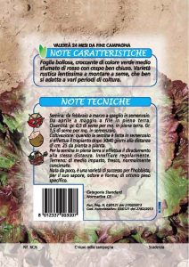 LATTUGA Cappuccio maraviglia de Verano-Canasta